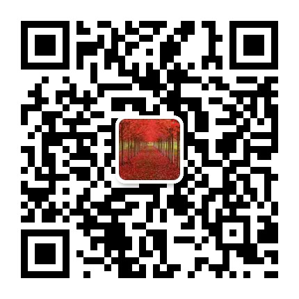 the qr code